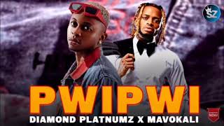 Diamond Platinumz ft Mavokali - Pwipwi (official video music)