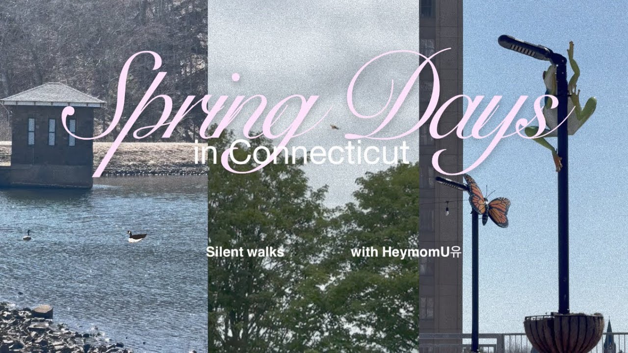 Calm vlog |  Silent walks, Spring Days in Conncecticut  