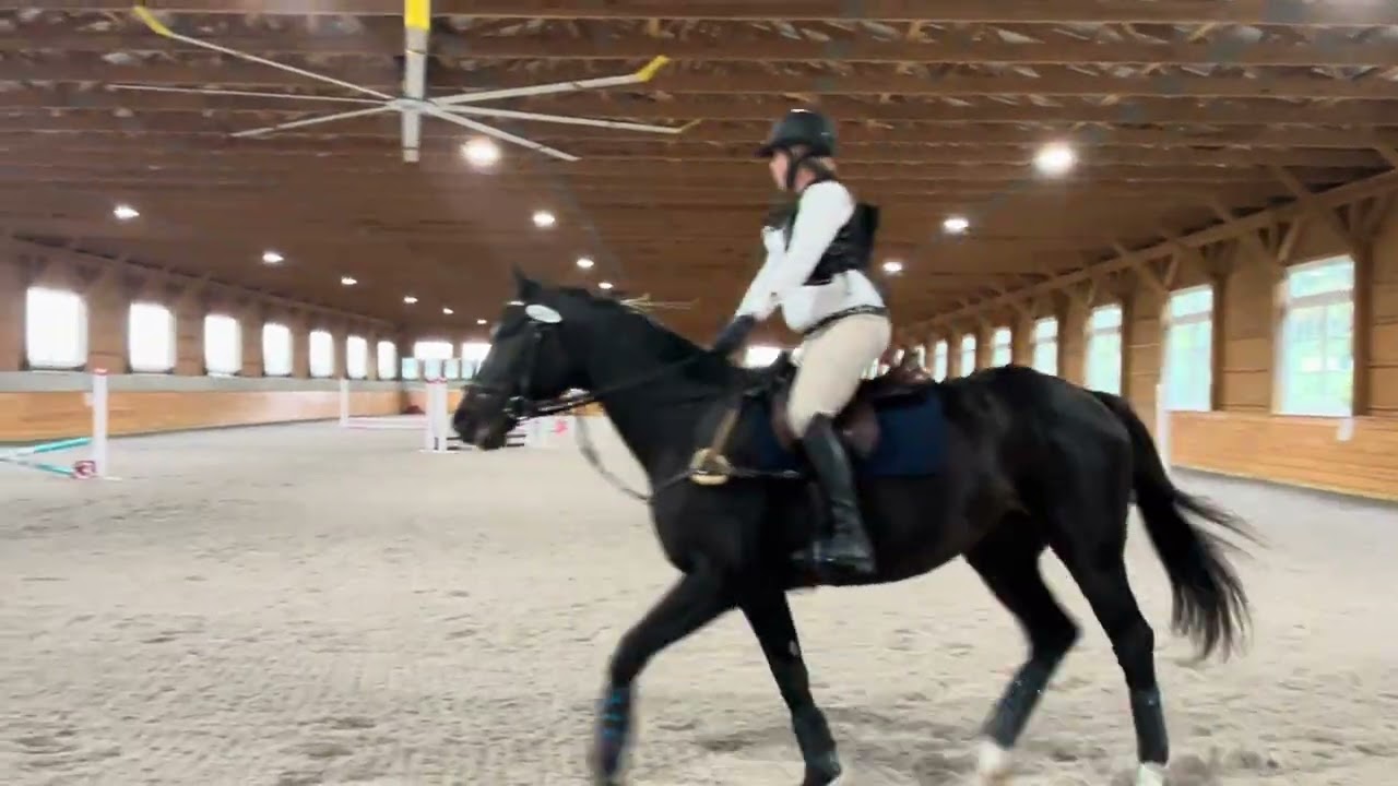 American Roma Elementary Radnor Hunt Horse trials 