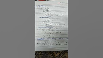 science bridge course chapter 1 class 8