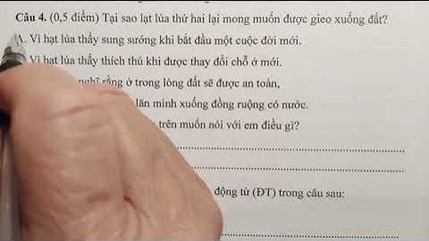 Đề thi giữa học kỳ I môn Tiếng Việt lớp 4, sách Kết nối tri thức với cuộc sống