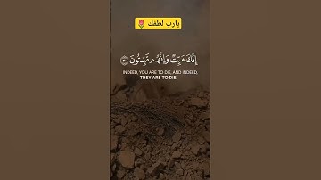 "تلاوة خاشعة للشيخ ماهر المعيقلي - سورة الزمر [30-31] {إِنَّكَ مَيْتٌ وَإِنَّهُم مَّيِّتُونَ}"
