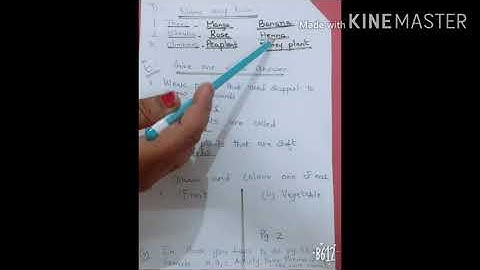 Ecps class 1 EVS chapter 10 Plant I see part 3