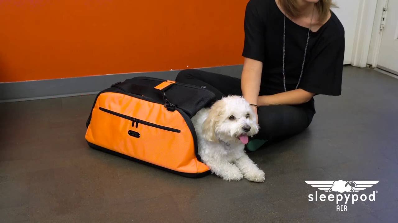 Sleepypod Air pet carrier 