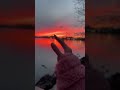 ميال للعود القتال مصممة فيديوهات وصور