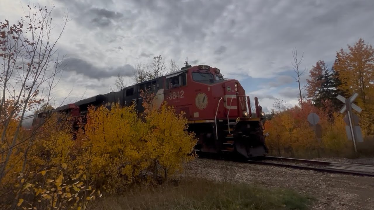 CN 3842 leads a late A458 into Grande Prairie, AB w/ another railfan ...