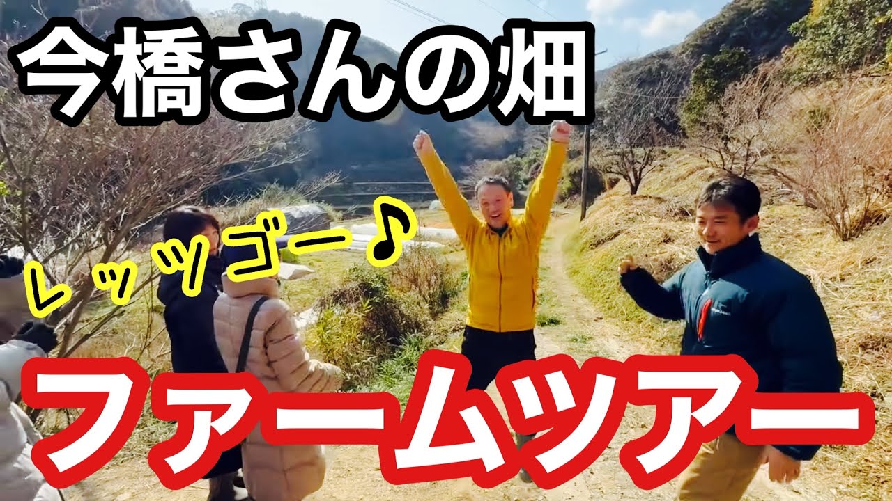 【ファームツアー】今橋さんの畑を巡りながら解説してもらいつつ分析してみた《自然栽培/無農薬》