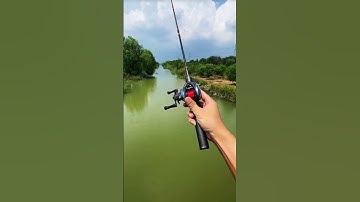 Cần câu lure máy ngang rút gọn 33cm, siêu khỏe, câu cá lóc chẽm đến 15kg 😍😍#fishing #shorts