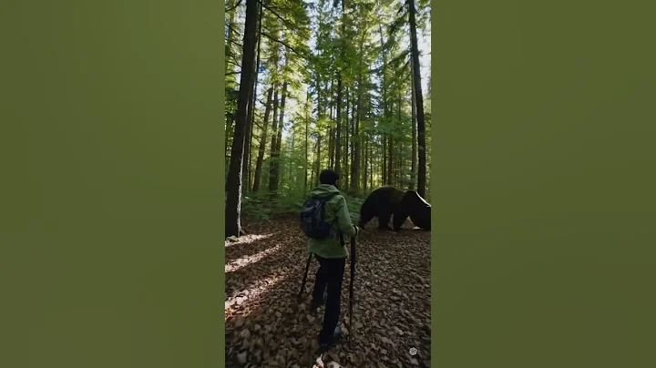 Craziest bear attack of all time : When You Scare the Bear First 🐻😱 #shorts