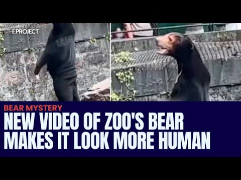 Video: Zoo komplex 