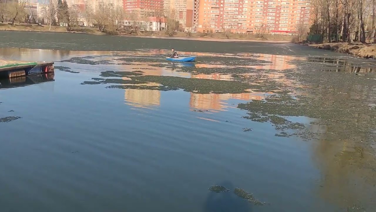 Русфишинг белая дача