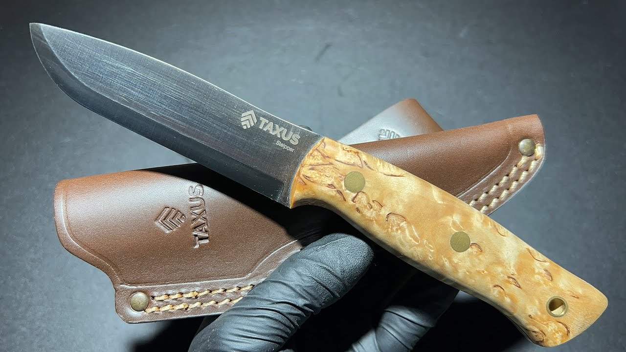 TAXUS KNIVES HABILIS SLEIPNER SCANDI CURLY BIRCH