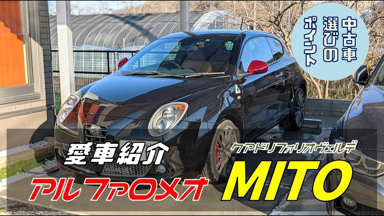 愛車紹介 Alfaromeo Mito アルファロメオ ミト クアドリフォリオヴェルデ 中古車選びの際の参考に 170ps D N Aシステム Youtube