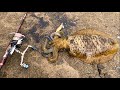 【待望のキロ連続】エギング釣りヒットシーン！squid eging
