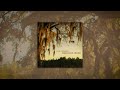 Cole Swindell - Happy Hour Sad (Audio)