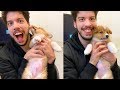 Surprising my Boyfriend with a PUPPY for CHRISTMAS!