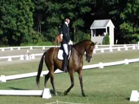 Bo's Winning Performance at First Dressage Show (HQ)