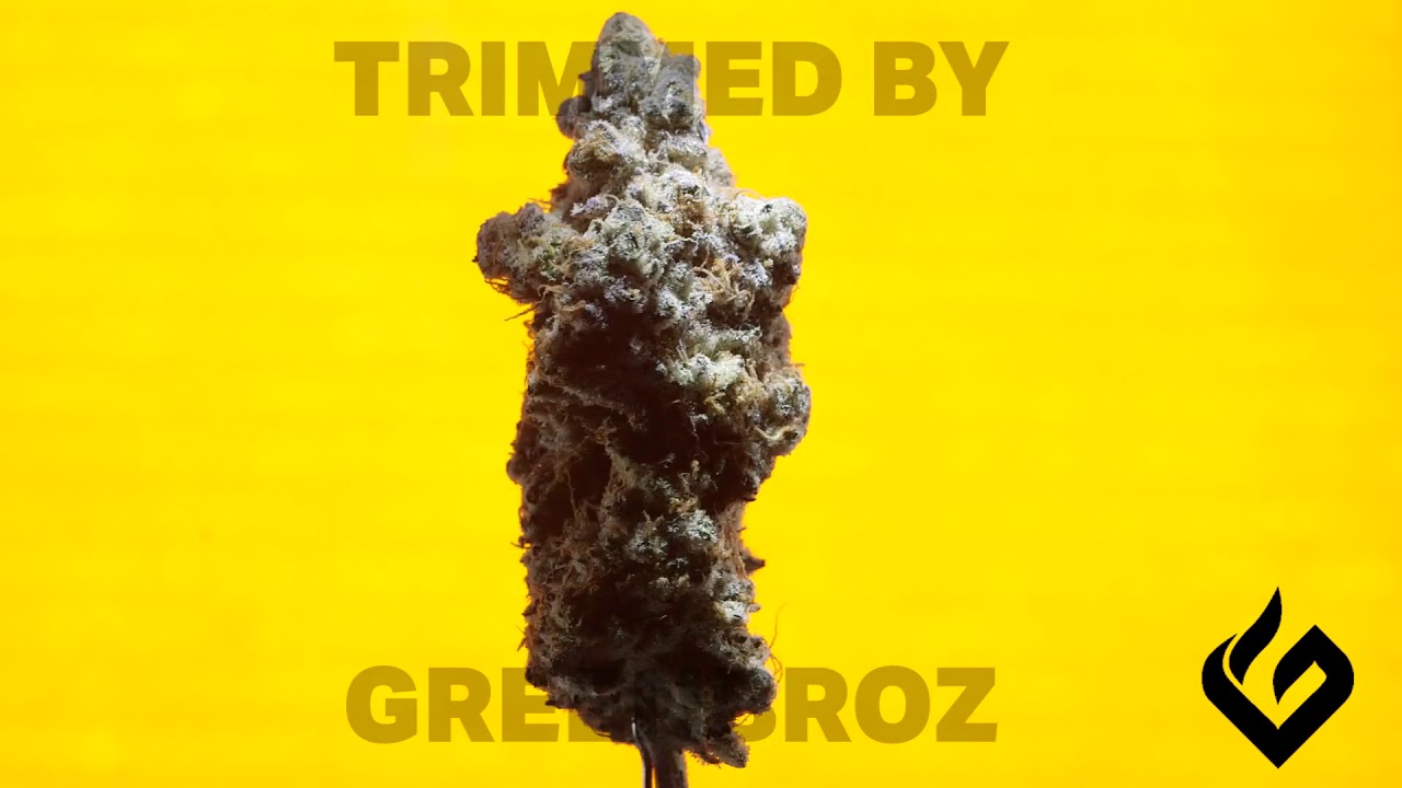 Trimmed by GreenBroz