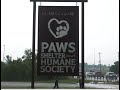 Paws in need