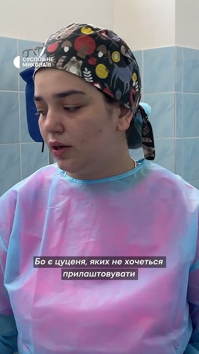 Стерилізація тварин - YouTube