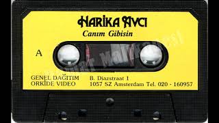 Harika Avci - Sahildeki Taverna - Orkide Video (Avrupa Baski) Resimi