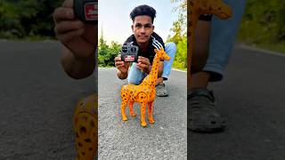Remote Control Giraffe Unboxing Review