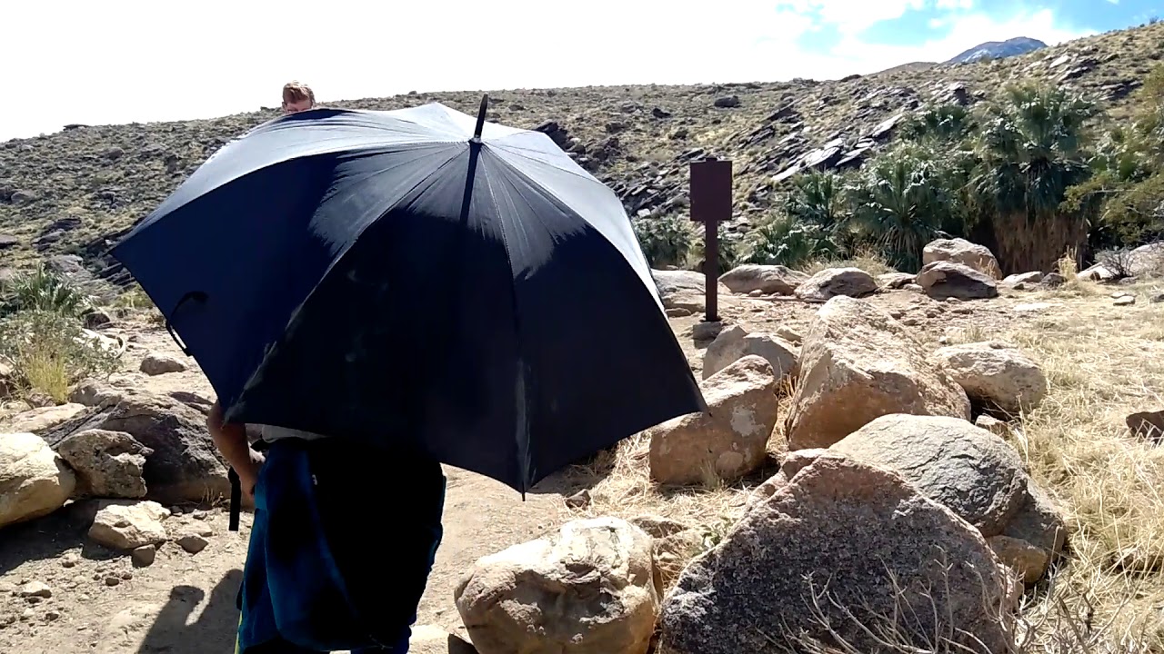 Hike to Murray and Andreas Canyon Trail in Palm Springs to Seven Sisters Falls YouTube
