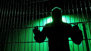 Alex - Holenderski Las Official Music Video