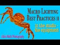 Macro Lighting Best Practices II - in the studio - the equipment