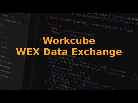WEX  Workcube Data Exchange / 21