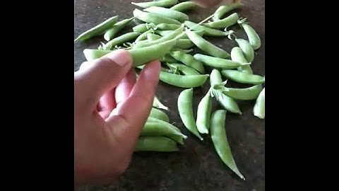 Removing strings from a snap pea