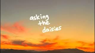 sammy rash - asking the daisies (official audio)