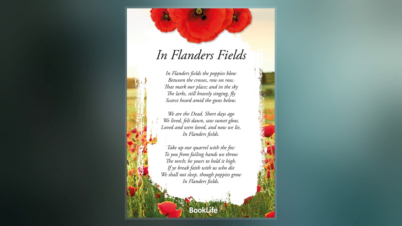 Flanders Fields