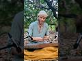 The magical sound of the Persian #Santur  #healingmusic #santoor #instrumental #music #healingsounds