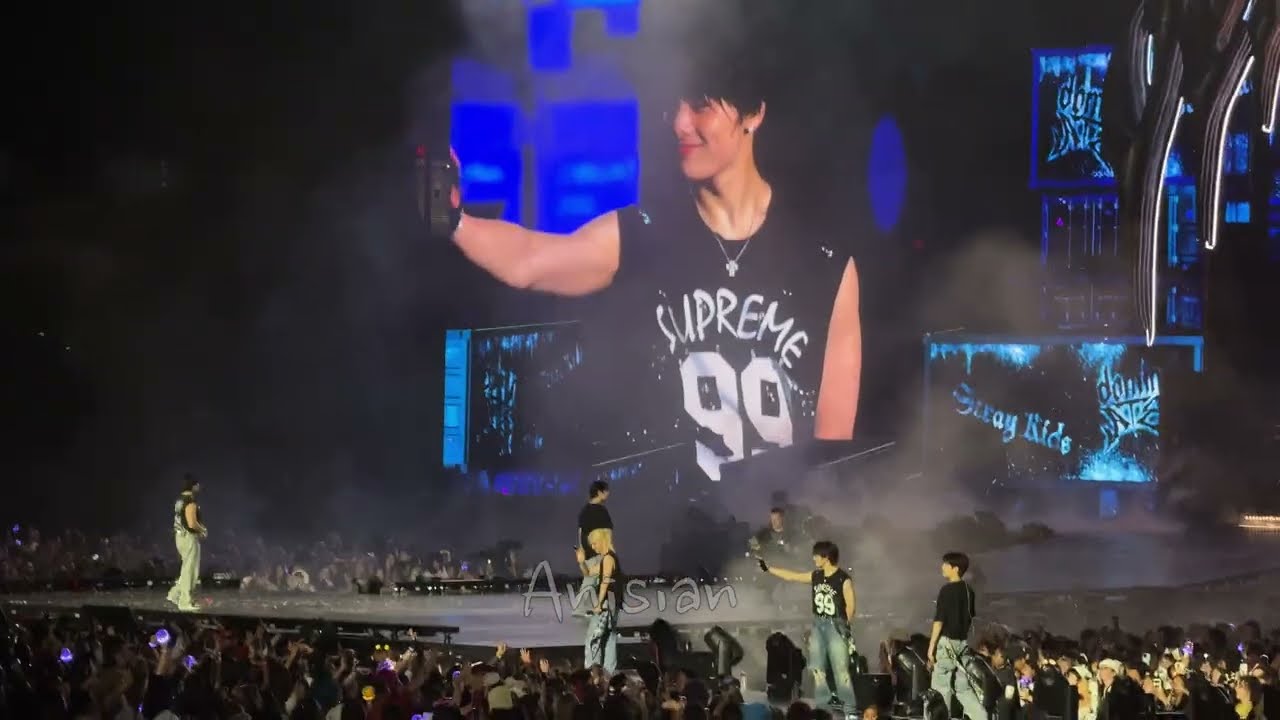 [250601] Stray Kids [스트레이 키즈] Ment 2 + Lonely St. + Cover Me Fancam in  LA D2 dominATE Tour