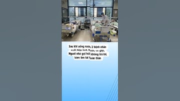 Hai người đàn ông ngộ độc do uống rượu ngâm rễ cây rừng đã qua cơn nguy kịch