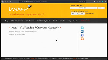 XSS   Reflected Custom Header   Low Security Level