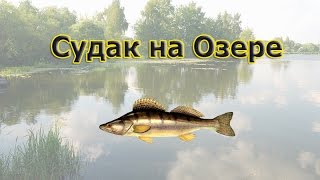 Русская Рыбалка 3.99 (Russian Fishing) Судак на Озере