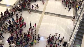 Gotta Keep Reading Flashmob - iCAN British International School, Phnom Penh