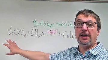 How to use CO2 in your Grow Room - Increasing Yields & Flowering - Carbon Dioxide Indoor Garden