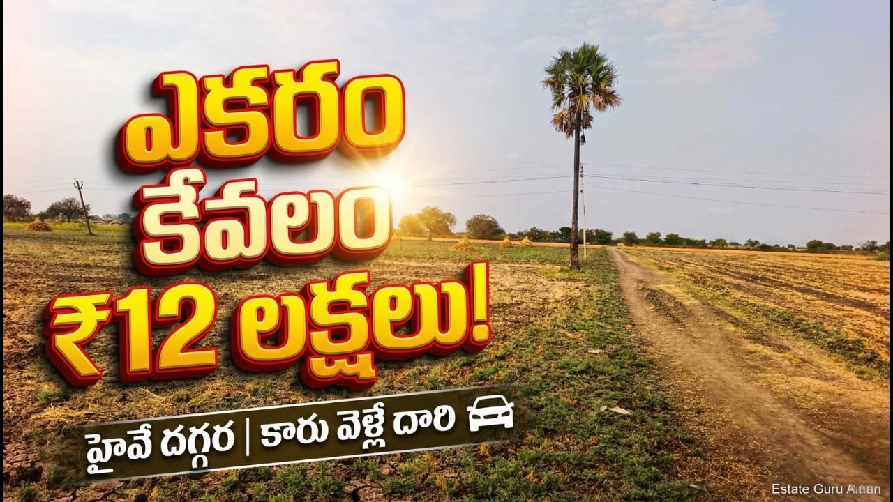 😲 ఇంత తక్కువ ధరలో పొలం దొరకదు | Chilakaluripeta Near Farm Land Sale |EstateGuruAman