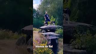 Vilaboa,Pontevedra #dog #nature #turismo #galicia #dolmen #bordercollie #travel #hikking #arte
