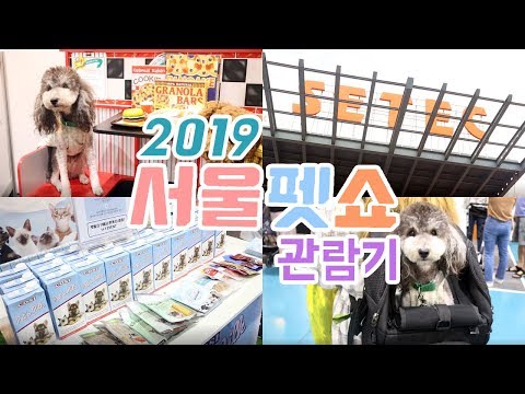 2019 서울펫쇼 다녀왔어요