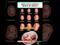 Little kicks &amp;Big changes Month by month baby development in mom's womb🤰#ytshorts #neet2026syllabus