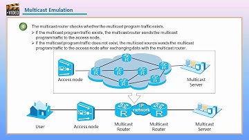 HUAWEI Access Network Mulitcast Feature Description-Multicast Emulation
