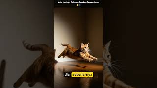 Cat Eyes: The Secret of Hidden Movements 🐱🌑 ##catfacts ##darkseries ##shorts ##cats