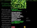 **Необычный трюк с огурцом для чистого зеркала 🥒✨**