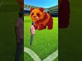 The Creative Bear Mascot Takes Over the Football Field