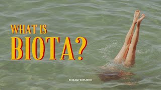 What is Biota | Ecology Explained