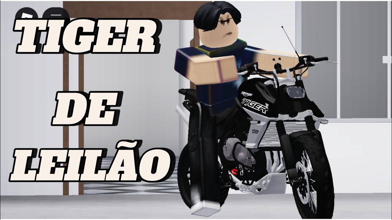 COMPREI UMA TIGER DE LEILÃO NO GRAU SP